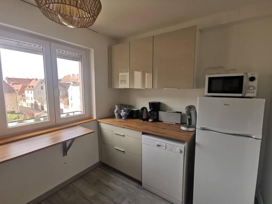 Logement Colmar Centre Avec Parking Buitenkant foto