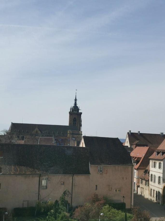 Logement Colmar Centre Avec Parking Buitenkant foto
